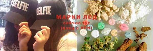 a pvp Пересвет