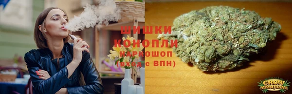a pvp Пересвет