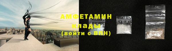 a pvp Пересвет