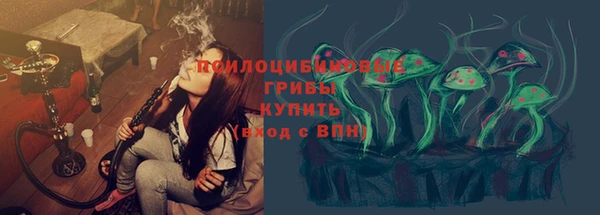 ALPHA PVP Переславль-Залесский