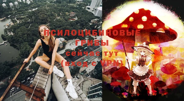 бошки Пестово