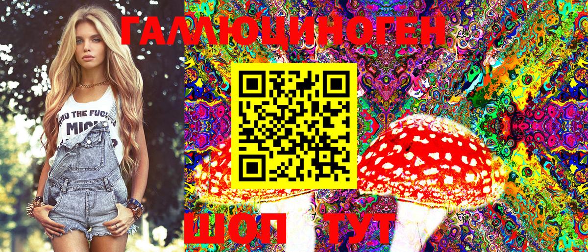 Псилоцибиновые грибы Psilocybine cubensis Назрань