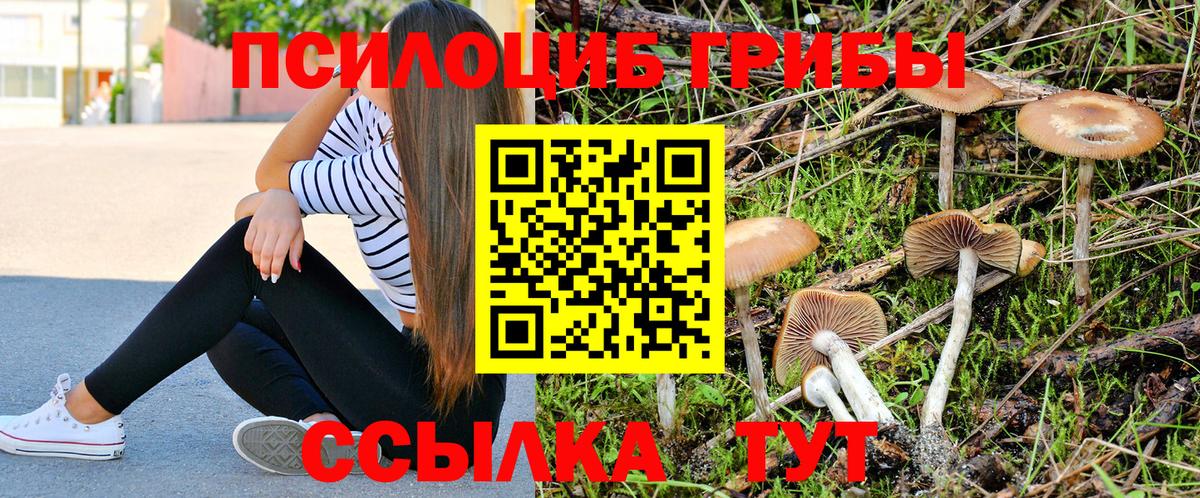 Галлюциногенные грибы Cubensis Назрань