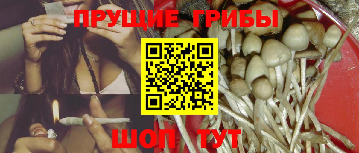 Назрань  ГАШ  Вход с VPN  COCAIN  Меф МЯУ МЯУ  Каннабис  Меф МЯУ МЯУ кристаллы  ТГК  LSD-25 