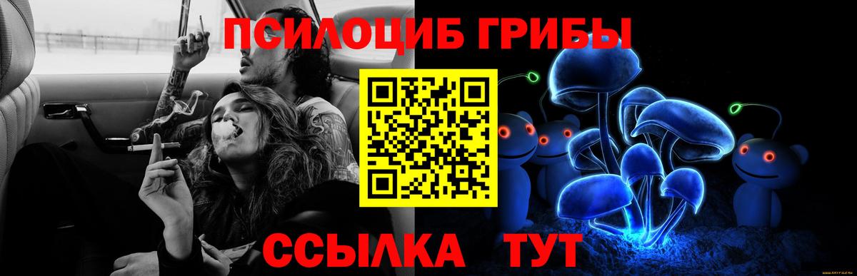 Галлюциногенные грибы прущие грибы  наркотики  Назрань  Вход с VPN 