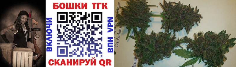 мега онион  Назрань  Бошки марихуана индика 