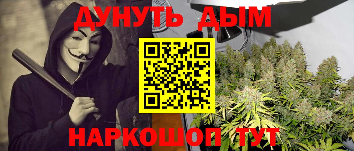 Марихуана тримм  Вход с VPN  Назрань  Марихуана семена 